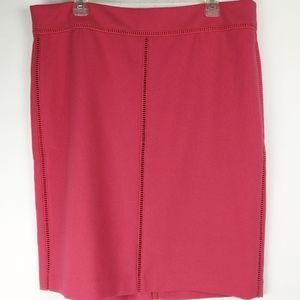 Ann Taylor Factory Pink Skirt NWT